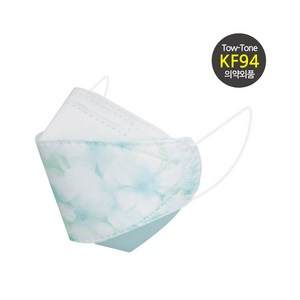나인 KF94 투톤 컬러 마스크 숨쉬기편한 연예인 국내생산 TN-05, 05, 50매, 투톤나인 TN - 05