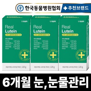 펫생각 리얼 루테인 강아지 눈 눈물 자국 영양제 보조제 백내장 녹내장 눈노화 예방 시력저하 120g, 눈물개선/눈건강, 3개