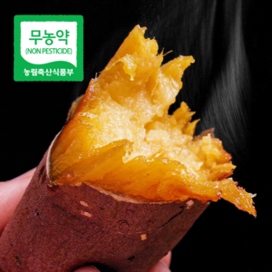 [무농약 인증] 해남 햇 꿀고구마, 1박스, 5kg(특상/개당100-300g)