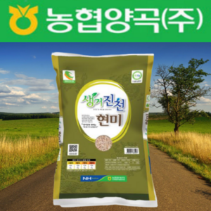 2021년산 햅쌀 햇곡 농협 진천쌀 아끼바리쌀 불릴필요없는 쌀눈 효능 웰빙 생거진천 추정미 현미쌀 5kg 10kg 현미의효능