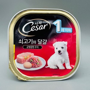 시저 애견간식 캔, 쇠고기 + 달걀, 100g, 12개