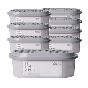 온다숲 반영구 천연 제습제 정화석, 300g, 8개