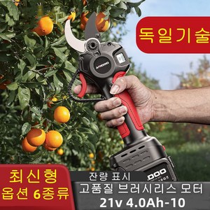 독일 21V 무선 충전 전동가위 전지가위 SK-9 고탄소강 무선 전동 가지치기 전기톱 연장대 풀세트, 옵션6번, 1세트