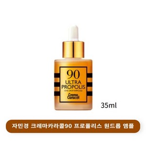 자민경 90 울트라 프로폴리스 앰플, 35ml, 1개