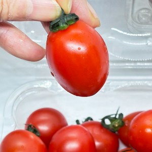 꿀맛 스테비아 방울토마토 제철과일 방토 tomato 당뇨 간식 500그램, 2개, 500g