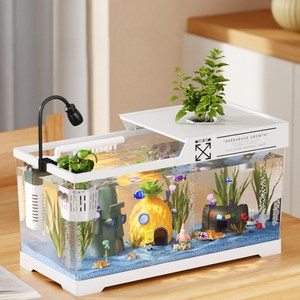 거북이어항 아크릴 일체형 금붕어 거북이 항아리 미니어항, 1개, 흰색
