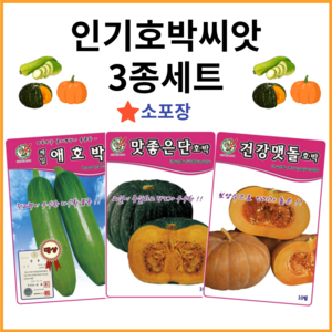 [주주씨앗] 호박씨앗 3종세트 애호박 맷돌호박 단호박 호박씨 호박종자 밤호박 씨, 1개