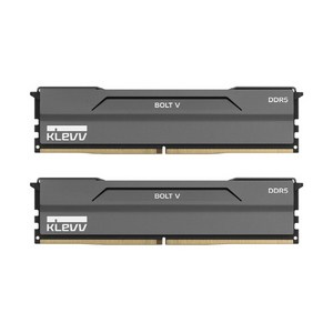 ESSENCORE KLEVV DDR5-6000 CL30 BOLT V AMD 패키지 서린 (32GB(16Gx2)), 2개