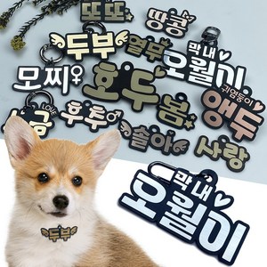 라인- 강아지 이름표 네임텍 명찰 반려견 반려묘 인식번호 각인 아크릴, L사이즈 -원터치링, 없음, 무광골드, 1개