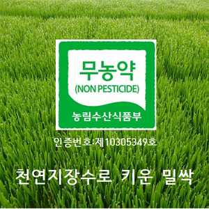 [산지직송]국수터 지장수 밀싹농장 밀싹 1200g 1박스, 1.2kg, 1개