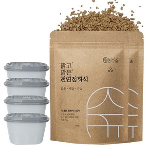 온다숲 반영구 천연 제습제 정화석 500g2개+용기4개, 500g