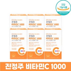 진약사몰 진정주 비타민C1000, 100정, 6박스