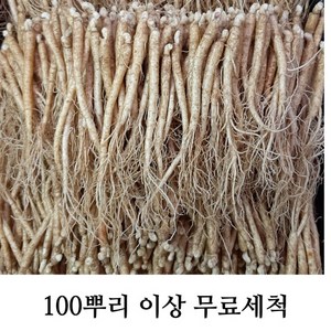 삼계탕용 갈비탕용 작은 실삼계 무료세척 실속형 100뿌리이상, 실삼계750g(130-150뿌리), (세척해주세요O), 1개