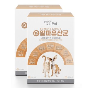 바른뉴트리펫 알파유산균 강아지 고양이 애견 반려동물 개 유산균 영양제, 장건강/유산균, 60g, 2개