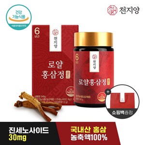 천지양 6년근 로얄 홍삼정 골드240g, 240g, 1개