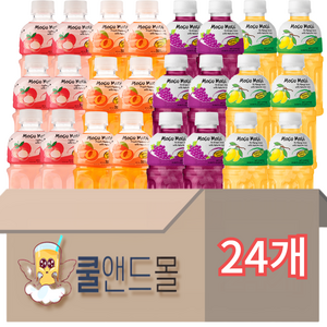 [쿨앤드몰] 모구모구 4가지맛(리치+복숭아+포도+망고), 24개, 320ml