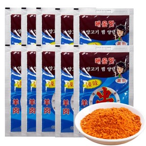 (당일출돼지) 차이나푸드 양꼬치소스 (매운맛) 양꼬치양념, 60g, 10개