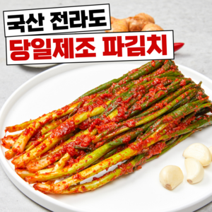 [함평명가] 100% 국산 당일제조 쪽파김치 전라도 파김치, 1개, 1kg