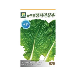 여름용 늘푸른청치마상추 씨앗 3g 영리재배 적합, 1개