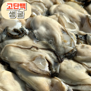 [산지직송] 품질선별 통영 생굴, 1개, 생 굴 1kg