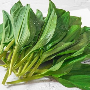 [더조은푸드] 신선한아침 우리땅 깨끗한 강원 정선 제철 명이나물, 1kg, 1박스