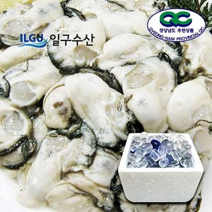 [일구수산]싱싱한 통영 생굴 1kg 2kg /산지/ 당일작업/굴수하식수협38번중도매인, 생굴(대) 2kg  (가열조리), 1개, 2