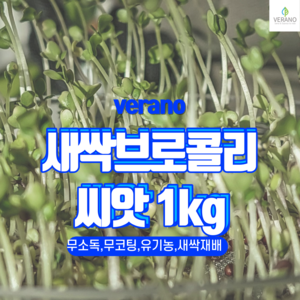 새싹 브로콜리 씨앗 1kg 무소독 무코팅 무농약, 1개