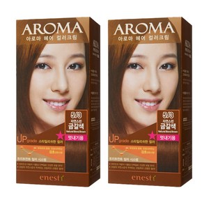 에네스티 아로마 염모제 새치머리용, 5/3 자연스런금갈색, 2개
