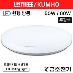 번개표 LED 원형방등 50W 60W, 60W 주광색