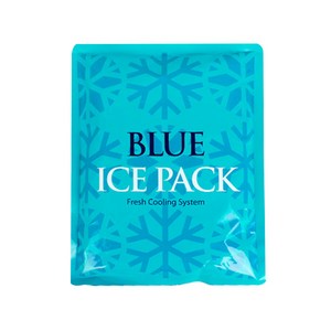 국산 BLUE 아이스팩(대) 1000ml, 1개, 1개