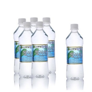 헬시언 게르마늄 샘물 500ml, 40개