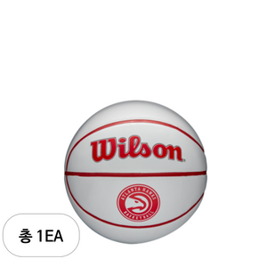 윌슨 NBA AUTO 미니 농구공 WTB3300XB, WTB3300XBATL(애틀란타 호크스), 1개