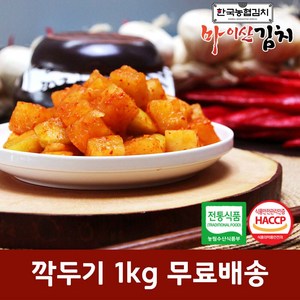 한국농협김치 국산 재료 진안 마이산 깍두기 1kg, 1개