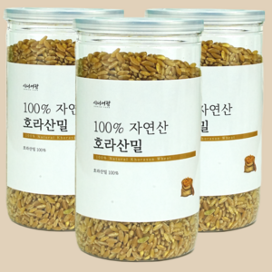 이집트 쌀 호라산밀 100%, 3개, 500g