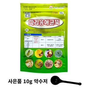 파리응애균뚝 뿌리파리 고자리파리 응애 친환경 남보 사은품약수저, 수화제 60g, 1개, 180g