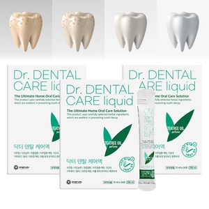 닥터 덴탈리퀴드 입냄새 구취 구강 유해균 제거 가글 아이디어공간, 3개, 288ml