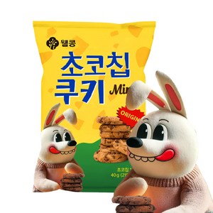 웰콩 미니초코칩쿠키, 40개, 40g