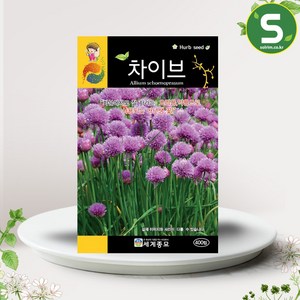 솔림텃밭몰 허브씨앗 차이브씨앗 400립 차이브 챠이브 허브씨, 1개