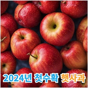 껍찔째 먹는 천연과즙 팡팡 안동 청송 가정용 꿀사과, 1개, 4.5kg내외