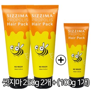 씻지마 노워시 벌꿀 헤어팩, 250g, 2개