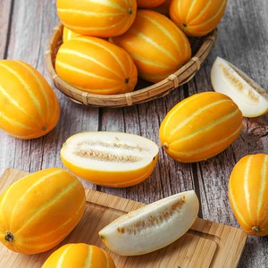 정품 가정용 성주참외 로얄과, 정품 참외 5kg 로얄과(20과내외), 1개