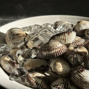 산지직송 벌교 꼬막, 1개, 소 10kg (120미 내외)