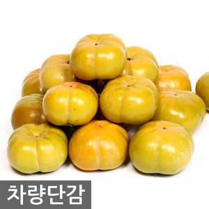 오병이어농산 전라도 단감10kg 차량단감, 1박스, 흠과10kg(가정용상품)