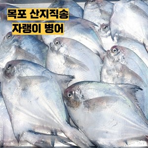 국산 자랭이 병어 목포 산지직송, 1개, 2kg(횟감손질)