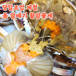 당일조업 당일배송 국내산 서해 활 꽃게, 활꽃게_2kg, 1개
