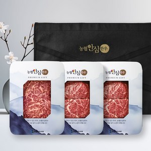 [농협안심한우][냉장]1+등급 한우 모듬구이 선물세트 900g (등심국거리국거리), 1개, 300g