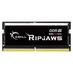 G.SKILL 노트북 DDR5-4800 CL40 RIPJAWS (32GB), 1개