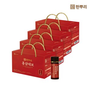 한뿌리 홍삼대보 100mlx10병x4set, 4개, 100ml