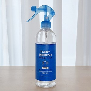 퓨리 스프레이 뿌리는 손소독제 500ml 에탄올 70% 2022년제조 대량 도매 알콜 알코올 의약외품 바이러스 살균소독 손세정제, 1개