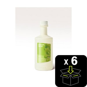 네이쳐티 청포도 에이드 1.2kg 1박스 6개 제품